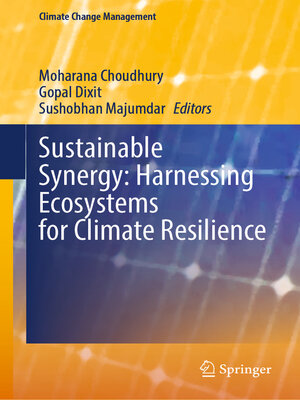 cover image of Sustainable Synergy